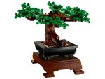 Bonsai Tree - Image 4