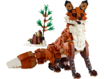 Forest Animals: Red Fox