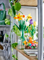 Bird's Nest - Image 6