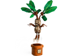 Mandrake - Image 3