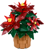 Poinsettia - Image 2