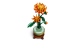 Chrysanthemum - Image 3