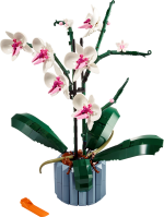 Orchid - Image 2