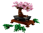 Bonsai Tree - Image 5